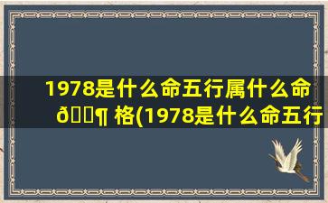 1978是什么命五行属什么命 🐶 格(1978是什么命五行 🐎 属什么命格呢)